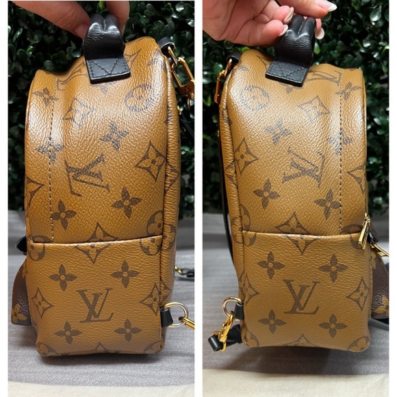 LOUIS VUITTON Reverse Monogram Palm Springs Backpack Mini - Picture 5 of 13